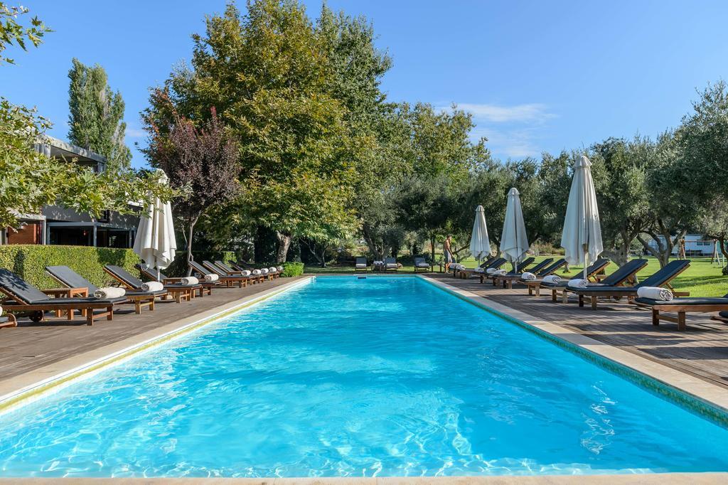 อเล็กซานเดอร์ บีช โฮเทล แอนด์ สปา Hotel อเล็กซานโดรโพลิส ภายนอก รูปภาพ The pool at the hotel